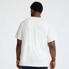 Champion Classic Graphic T-Shirt, Script Logo - Big & Tall - Platinum Silver Heather