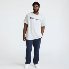 Champion Classic Graphic T-Shirt, Script Logo - Big & Tall - Platinum Silver Heather