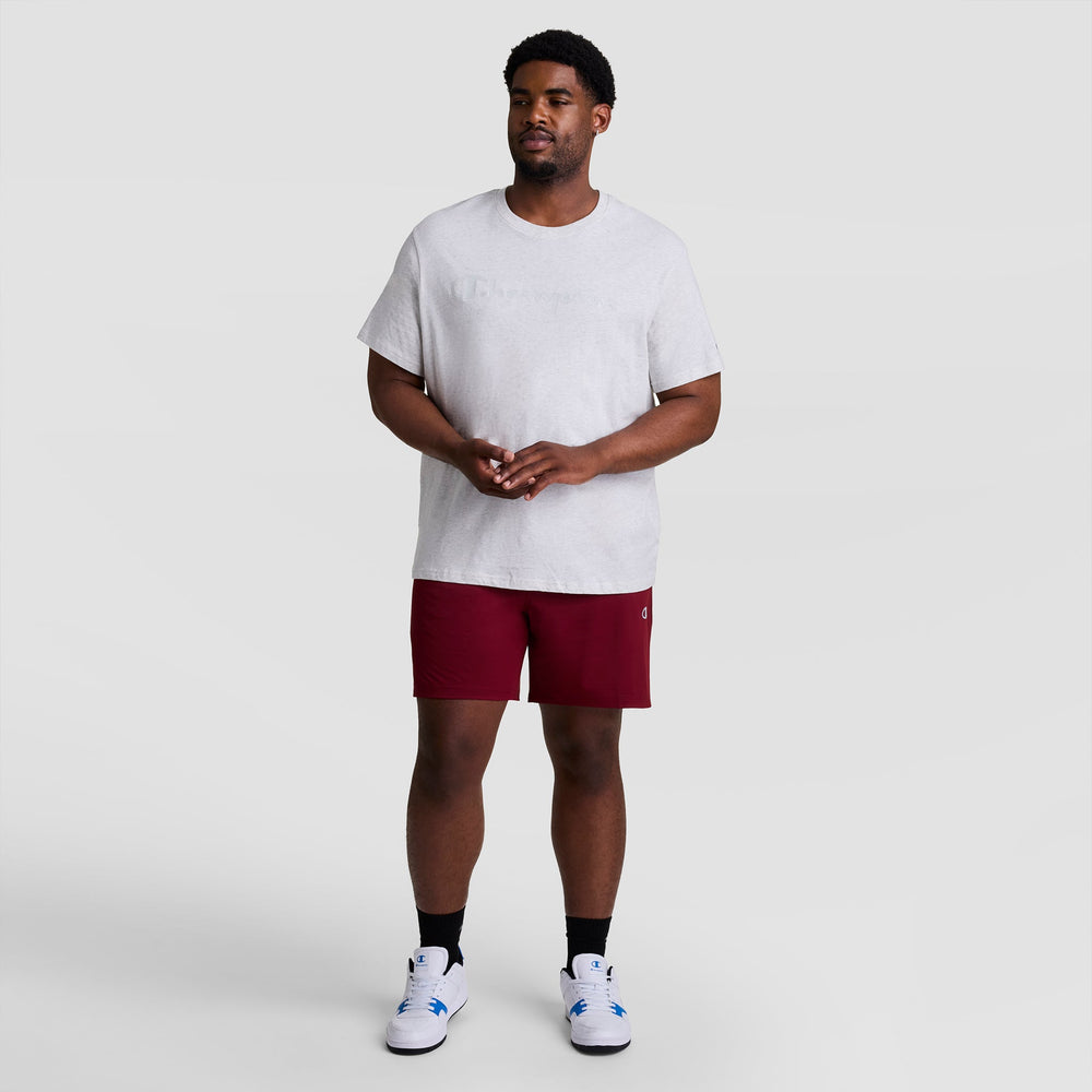 Champion Classic Graphic T-Shirt, Tonal Script Logo - Big & Tall - Platinum Silver Heather