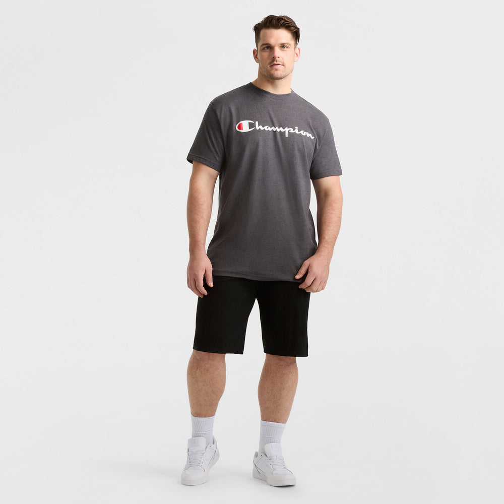 Champion Classic Graphic T-Shirt, Script Logo - Big & Tall - Granite Heather