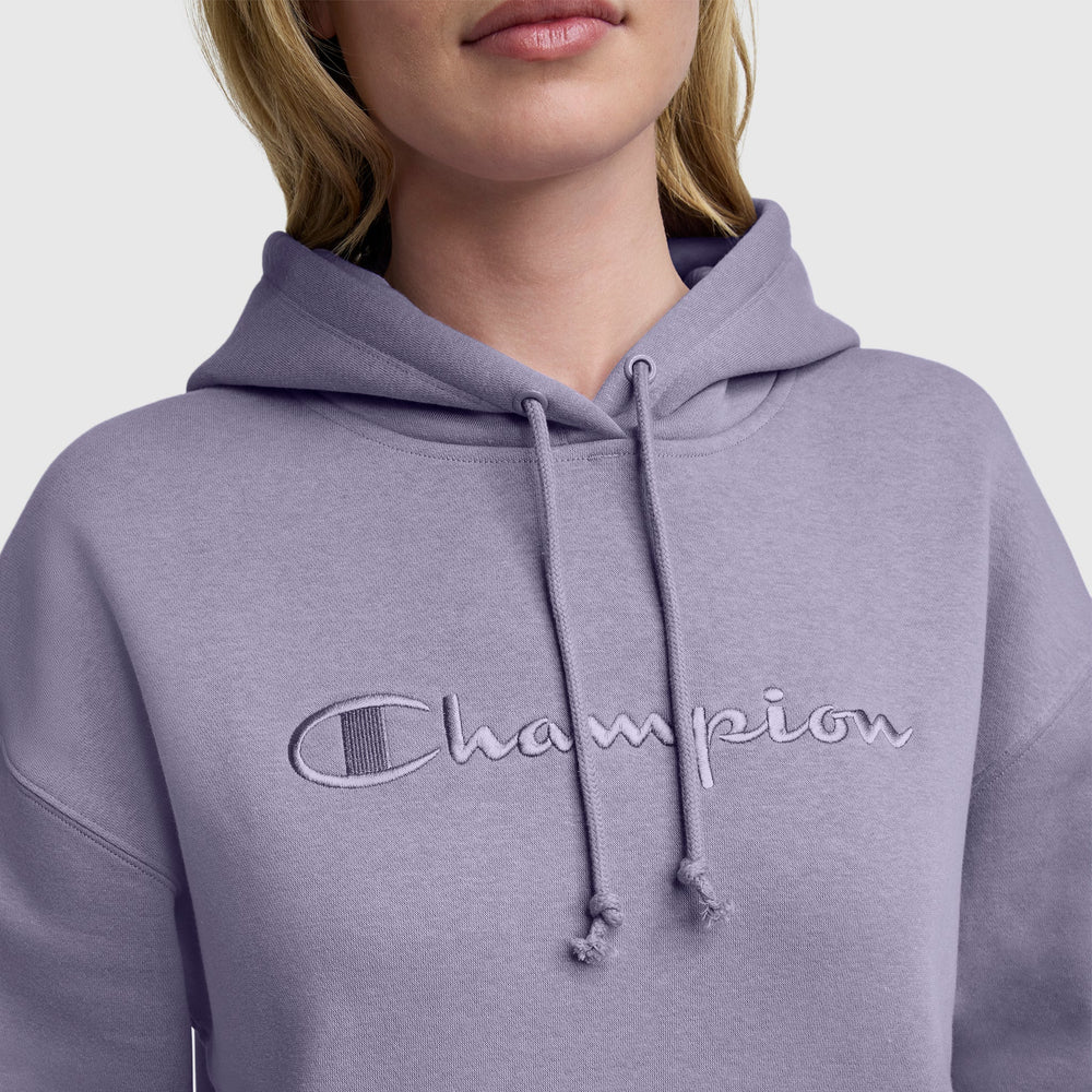 Champion Powerblend Freshman Hoodie, Embroidered Script Logo - Daybreak