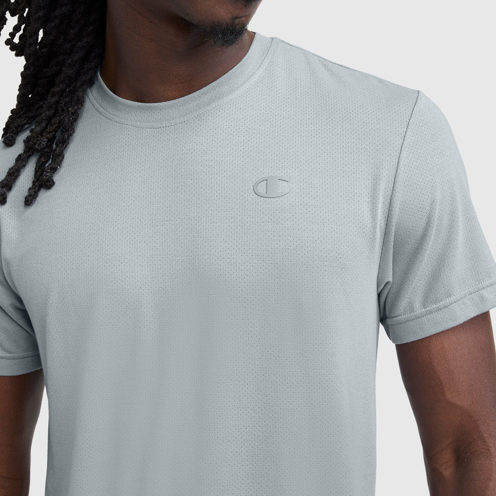 Champion Sport Crewneck T-Shirt, Script Logo - Quarry